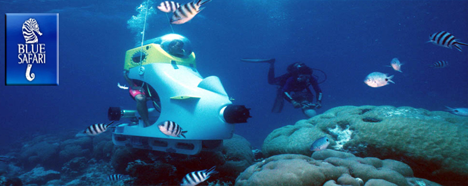 blue safari mauritius